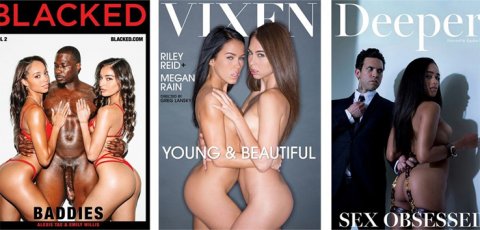 Megan Rain stars in a Vixen porn video.