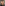 Armond Rizzo Image