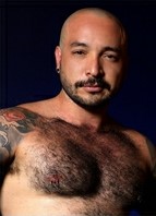 FFurryStud Image