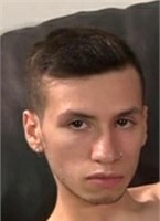 Cesar Rose