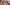 POV Masturbation And JOI Fun With Joanna And Molly