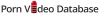 Porn Video Database Logo