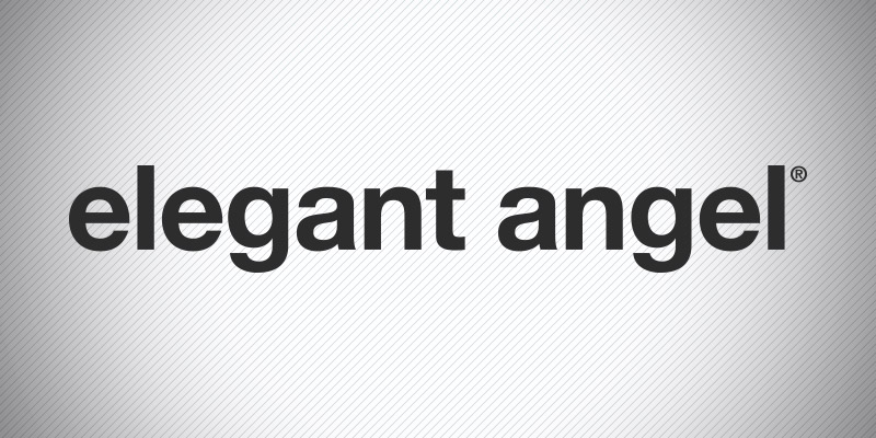 Elegant Angel Banner.