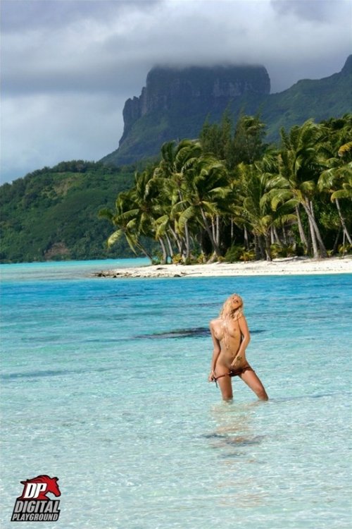 Digital Playground's Island Fever 4 Gallery Image