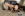 Alexis Is Hot Blonde Who Needs Cock - Lethal Hardcore VR Gallery Image