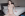 Porcelain Skinned Angelina Diamanti Picks Up A BBC - Hot Wives Cheating Gallery Image