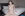 Porcelain Skinned Angelina Diamanti Picks Up A BBC - Hot Wives Cheating Gallery Image