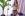 Anal Magic Tricks - Evil Angel Gallery Image