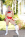 Cross Eyed Cock Loving Cheerleaders 7 Gallery Image