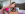 Anal Makes More Money - My Pervy Family Gallery Image