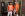 Cocky Coach Gallery Image