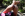 Anal Magic Tricks - Evil Angel Gallery Image