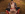 Mount For A Mount Gallery Image