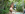 Nudist Resort Romp Gallery Image