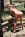 Camping Masturbation with Jodi West Gallery Image