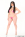 Big Wet Asses 30 Gallery Image