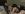 Aiden Ashley & Her Girlfriends - Girlfriends Films Gallery Image