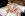 Secret Sleepover - Digital Playground Gallery Image