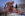 Sneaky Sex 32 - Reality Kings Gallery Image