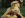 Looking For More Gallery Image