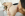 Her 1st Lesbian Anal 3 - LesbianX Gallery Image