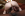 Interracial Internal - Jules Jordan Video Gallery Image