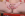 Teens Love Huge Cocks Vol. 44 - Reality Kings Gallery Image