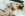 Her 1st Lesbian Anal 3 - LesbianX Gallery Image