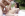 Perfectly Trimmed Bush 2 - Pure Passion Gallery Image