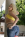 Always Better In Alexis Texas Gallery Image