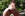 Anal Magic Tricks - Evil Angel Gallery Image