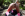 Anal Magic Tricks - Evil Angel Gallery Image