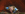 The Hunt For Onyx Gallery Image