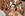 Facialized Vol. 6 - HardX Gallery Image