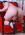 Tai 2 - Shemale Strokers Gallery Image
