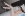 Porcelain Skinned Angelina Diamanti Picks Up A BBC - Hot Wives Cheating Gallery Image