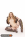 Whoresong Victory Gallery Image