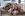 Threesomes & Foursomes 2 Gallery Image