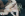 Black Massive Cocks.com 12 Gallery Image