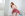 Madi Collins Is My Hot Ginger Teen Step Daughter - JaysPOV.net Gallery Image