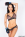 Hard Bodies 4 Gallery Image