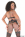 Lesbian Performers of the Year 2023 Gallery Image