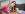 Anal Makes More Money - My Pervy Family Gallery Image