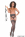 Lesbian Performers of the Year 2023 Gallery Image