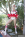 Cross Eyed Cock Loving Cheerleaders 6 Gallery Image