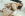 Her 1st Lesbian Anal 3 - LesbianX Gallery Image