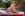 Poolside Affairs - Brazzers Gallery Image