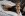 Aubrey Kate 4 - Shemale Strokers Gallery Image