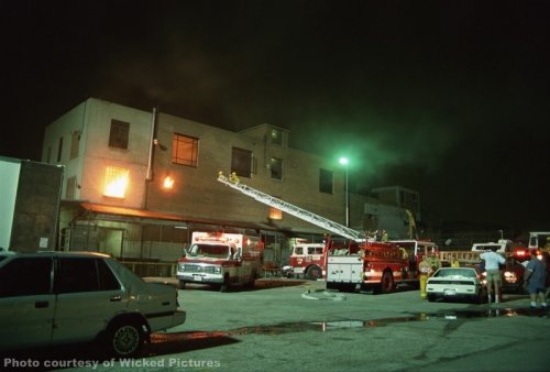 Flashpoint - Wicked Pictures Gallery Image