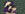 The Guildmistress Gallery Image
